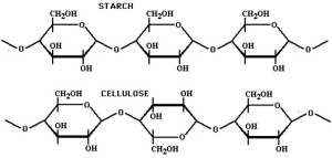 2 – Starch-Cellulose-300×143